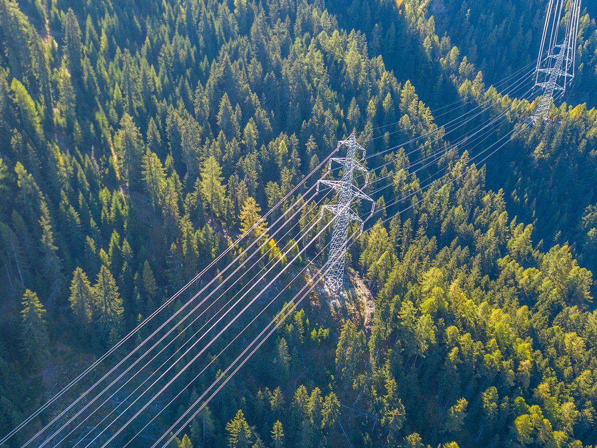 Strommasten und Leitungen über Waldlandschaft