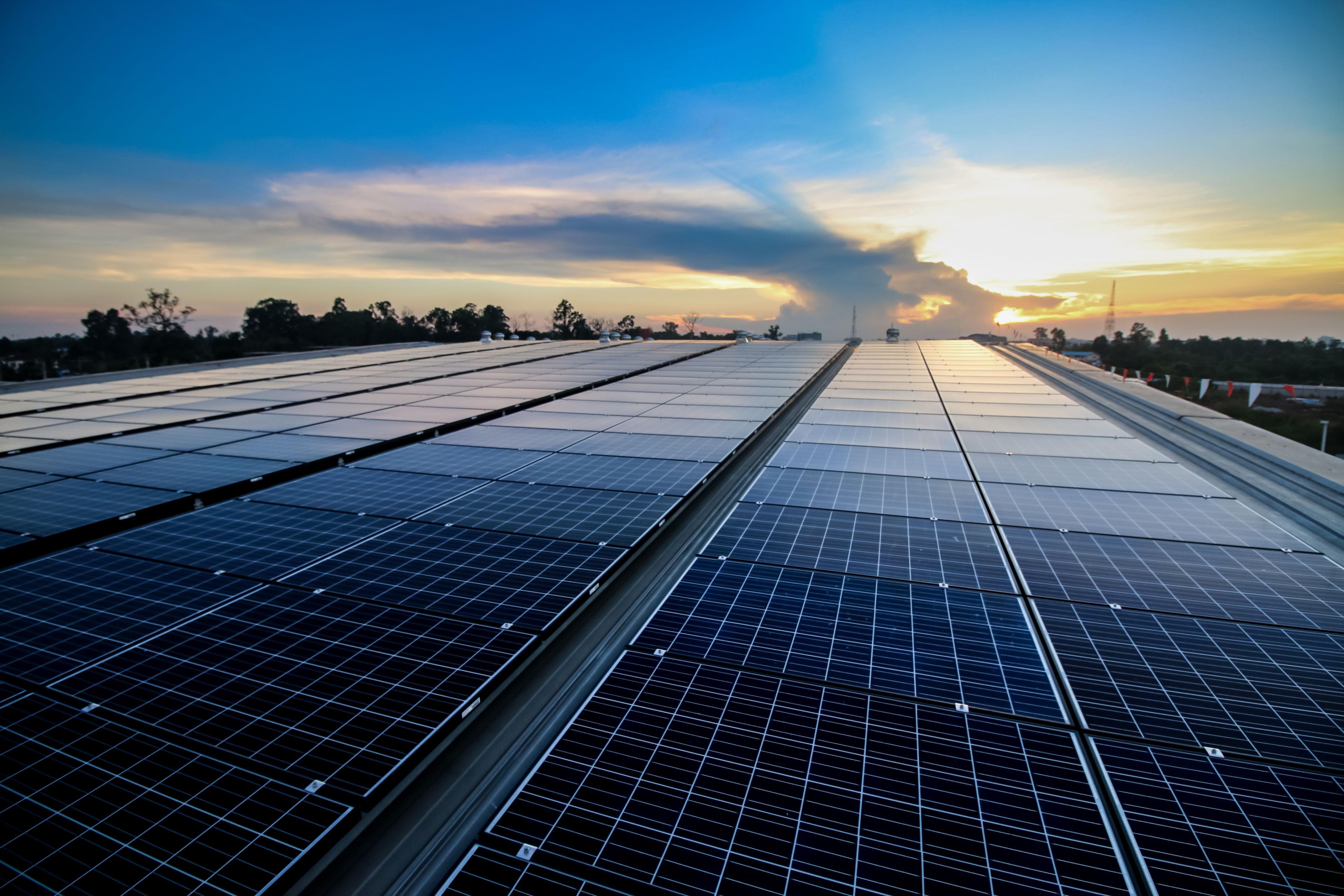 Solarpanels vor Sonnenaufgang